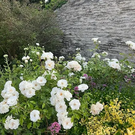 B&B La Borie En Provence