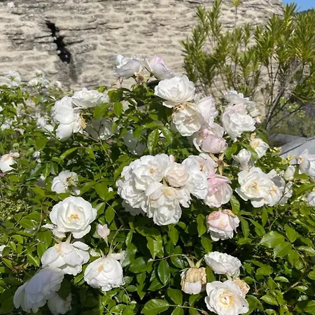 La Borie En Provence 고르드