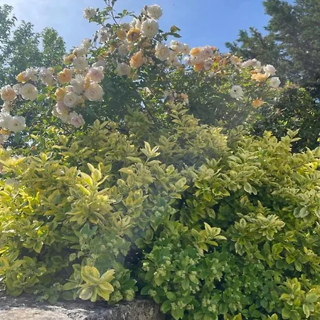 B&B La Borie En Provence *