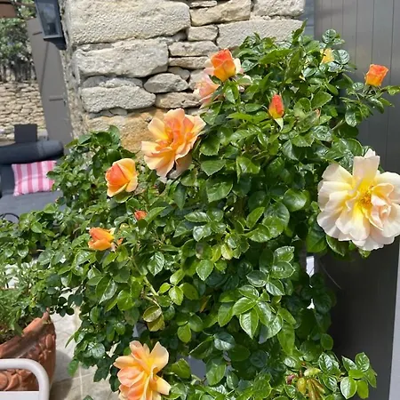 B&B La Borie En Provence 고르드