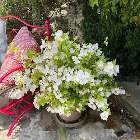 La Borie En Provence *