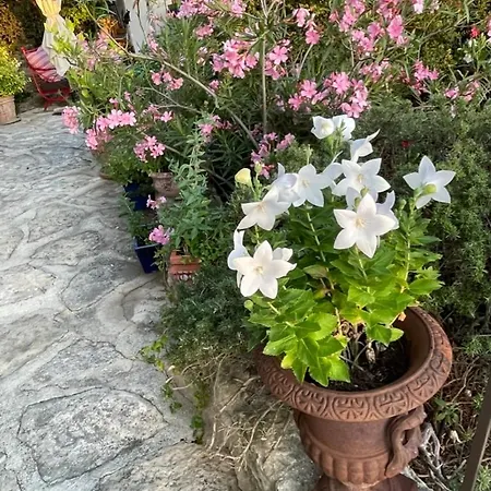La Borie En Provence B&B 고르드