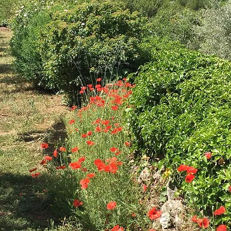 La Borie En Provence * 고르드